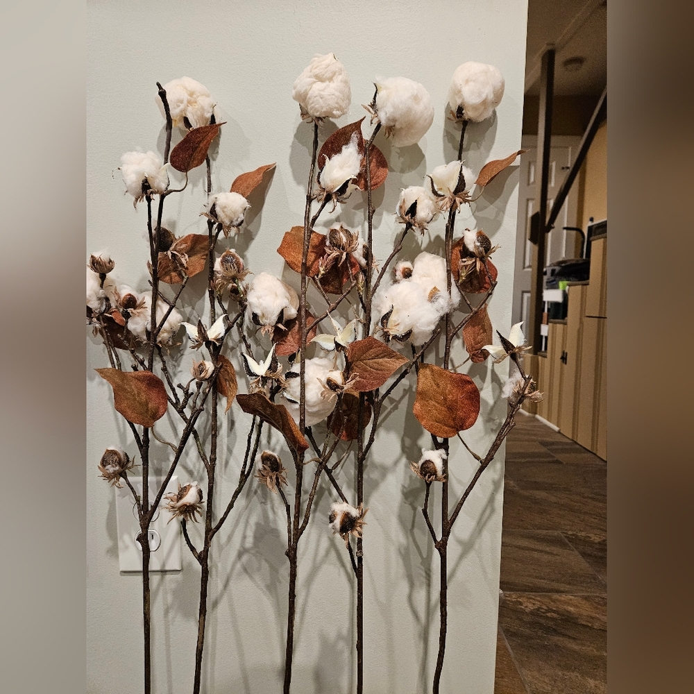 Farmhouse Cotton Arrangement Rustic Long Stems Set of 5 Cotton Branches 35" - Picture 6 of 8